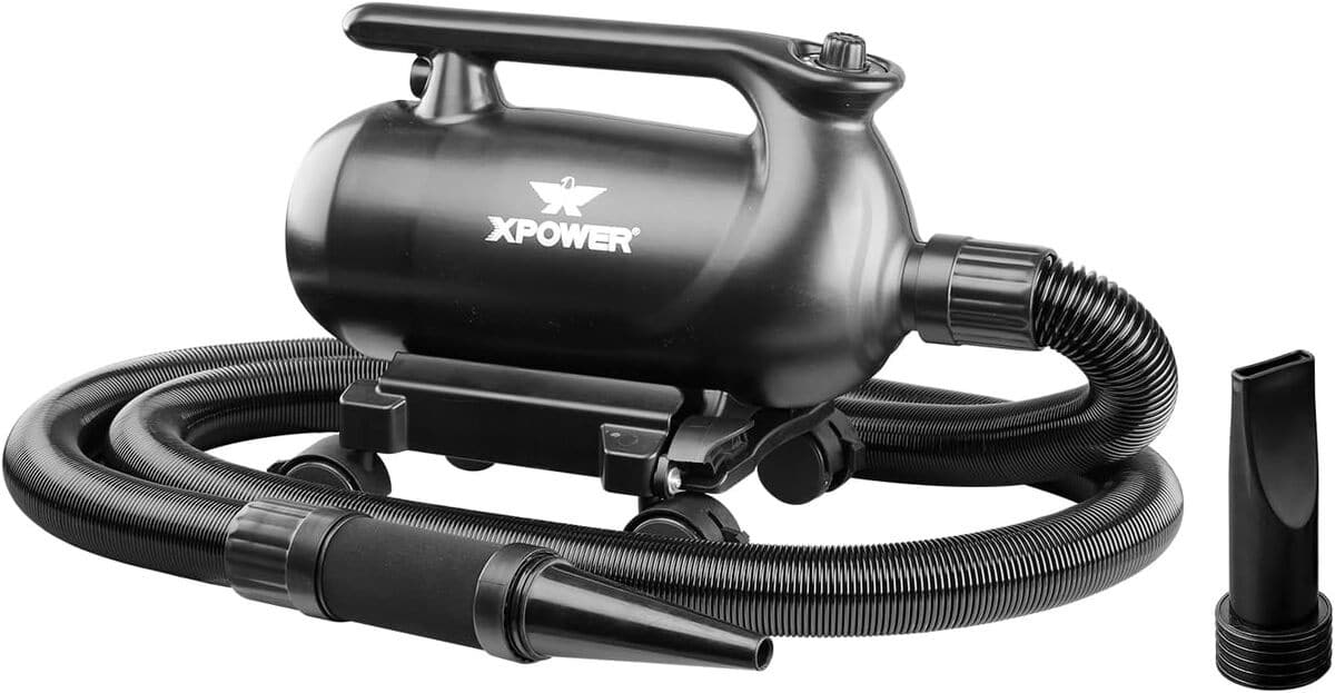 Test du blower de séchage professionnel XPOWER (A-16) : station mobile